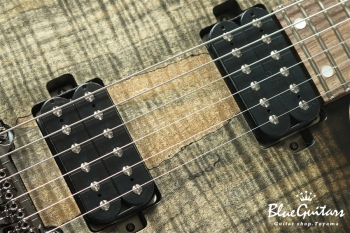 FUTURA-S HH LTD / Alder Back Spalted Maple Top Body - Transparent Black
